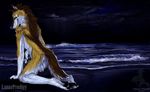  beach canine looking_at_viewer lunar_prodigy male night ocean seaside shaddie shadowwolf solo suggestive wolf 
