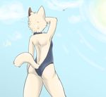  airplane back butt cat distance feline female ritts solo swimsuit 