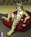  aberan cougar feline male masturbation nude penis solo 