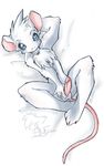  balls blue_eyes chest_tuft cute erection looking_at_viewer male mouse nude on_back penis peritian rat rodent solo tail 