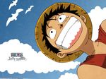  1boy bird black_hair blue_sky character_name copyright_name could hat highres male male_focus monkey_d_luffy one_piece red_vest scar sky smile solo straw_hat teeth title_drop vest wallpaper 