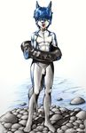  anthro dog flaccid karabiner male mammal nude penis plain_background solo uncut water wet white_background 