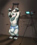  anonymous_artist anthro anthrofied blush bolt bolt_(film) brown_eyes camera canine chain chains diaper disney dog dungeon fur handcuffs humiliation male mammal manacles shackles solo tail_between_legs white_fur 