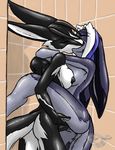  background cabbit furball herm intersex kaisura kissing lapine megrodite passionate sex shower 