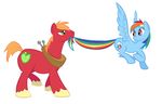  blue_fur cute cutie_mark duo earth_pony equine female feral friendship_is_magic fur green_eyes hair horse horse_tail mammal multi-colored_hair my_little_pony pegasus plain_background pony purple_eyes rainbow_dash_(mlp) rainbow_hair rainbow_tail red_fur smile tail_grab unknown_artist white_background wings 