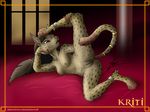  anthro breasts contortion feline female flexible kriti mammal netherwulf nipples nude pussy 