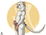  chubby cum male masturbation nude rat rodent solo straydog 