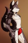  bulge canine jockstrap male shiuk solo underwear wolf 