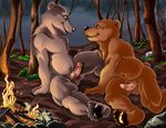  bear chubby claws dbruin hindpaw male nude 