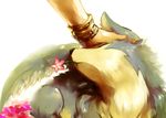  bracelet dog flower hakuk jewelry out_of_frame petting repede tales_of_(series) tales_of_vesperia yuri_lowell 