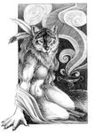  canine female nalavara shaman solo wolf 