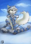  arctic_fox blue_eyes canine dress female fox kii looking_at_viewer snow solo striped_socks 