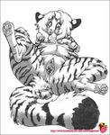  anus clitoris farorenightclaw feline female nude on_back pussy solo spreading tiger 