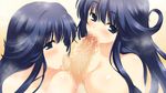  blue_hair breasts censored fellatio game_cg hoshi_no_ouji-kun kokoro_kamino nipples penis 