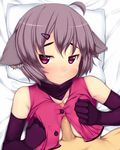  ahoge animal_ears bad_id bad_pixiv_id breasts censored elbow_gloves gloves grey_hair hair_ornament hairclip koucha_(nodoka-123) medium_breasts original paizuri paizuri_under_clothes penis pillow purple_eyes short_hair solo_focus 