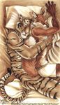  bed blotch canine clothing couple cuddle cuddling devlin_miski duo english_text feline fox gay kyell_gold love male mammal out_of_position shorts sleeping text tiger wiley_farrel 
