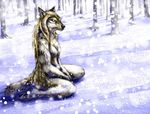  canine everruler female forest kneeling nude scowl snow solo tree trees wolf 