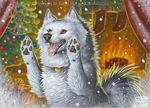  2007 canine christmas_tree collar cute dog feral fire fireplace fluffy katie_hofgard winter xmas 