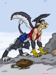  backpack beak belt black black-rat claws clothing ears eyes fur grey_feathers grey_fur gryphon keanon_woods muscles pants paws shirt socks solo tail transformation wings 