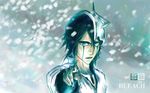  bleach tagme ulquiorra_schiffer waterist 