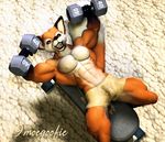  abs canine exercise fox male moegoofie muscles shorts solo weights workout 