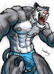  blue_eyes fangs feline humbuged looking_at_viewer male muscles open_mouth solo speedo standing tail underwear 