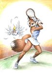  canine cockatiel cruel female fox funny megan_giles o_0 racquet solo tennis uhoh vicki 