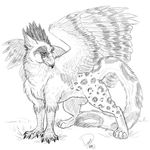  bedroom_eyes feral goldenfox gryphon side_view sketch solo wings 