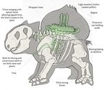  anatomically_correct anatomy bone bones bulbasaur english_text feral internal joshd1000 nintendo parasite plant pok&#233;mon pokemon science skeleton solo symbiote text video_games 