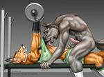  anthro canine couple dog duo foreplay fox gay gym licking male mammal penis tongue weightlifting wolf wookiee wookiee_(artist) 