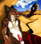  balls canine coyote knot male nude penis shopped solo 