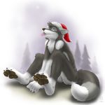  blue_eyes canine chest_tuft dog forest male pawpads snow solo tail tongue tree xmas_hat zen 