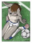  blush briefs bulge charon2 football lagomorph looking_at_viewer male rabbit soccer socks solo underwear 