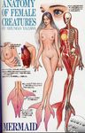  anatomy black_hair cross-section cross_section fins lowres mermaid monster_girl muscle nude shungo_yazawa skeleton translation_request webbed_hands what 