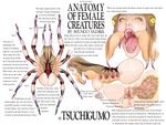  1girl anatomy anatomy_of_female_creatures anus cryptozoology fangs female gaping_maw human hybrid insect_girl japanese_mythology monster_girl nightmare_fuel open_mouth pussy shungo_yazawa source_request spider spider_girl tsuchigumo what x-ray 