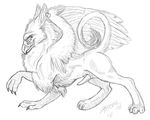  2008 avian feral goldenfox gryphon male penis sketch solo 