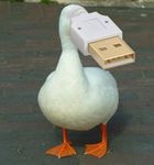  avian bird brick duck edit feral for_a_head goose outside photoshop real shopped solo unknown_artist usb_compatible webbed_feet what what_has_science_done your_worst_nightmare 