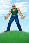  belt blonde_hair day doug_huggem duke_nukem grass male_focus mega64 outdoors outstretched_arms parody sky smile solo spread_arms sunglasses tank_top wallpaper 