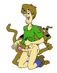  dennis_clark scooby scooby-doo shaggy tagme 