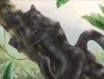  balls butt feline green_eyes looking_at_viewer male panther solo tree zen 