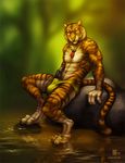  balls black_penis body_builder erection feline forest huge invalid_tag jungle male muscles nimrais partran penis pose sitting speedo stone stream tiger tree underwear water 