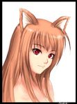  aluciz animal_ears female horo ookami_to_koushinryou solo 