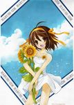  absurdres ahoge bad_id bad_pixiv_id blush brown_eyes brown_hair cloud day dress flower highres leaf nekonoka object_hug open_mouth petite ribbon short_hair sky smile solo sundress sunflower suzumiya_haruhi suzumiya_haruhi_no_yuuutsu traditional_media 