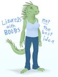  b1nd1 breasts female lizard parody scalie solo the_truth 