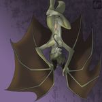  bat battybat grin hanging hindpaw jijix male nude penis piercing solo tongue upside_down wings 