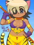 alicia_priss blush breasts breath_of_fire chubby cosplay eye_patch female katt polearm solo staff tail_concerto unknown_artist 