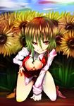  breasts cleavage doyouwantto flower green_hair kazami_yuuka kneeling large_breasts no_pants outdoors red_eyes short_hair smile solo sunflower touhou 