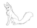  canine cute female feral fox luna-v sketch solo 