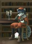  black_hair blue_eyes book candle candles chair feline hair kolos leopard male mammal reading renaissance sitting snow_leopard solo table 