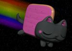  cat feline flying mammal nyan_cat poptart rainbow solo space stars unknown_artist 
